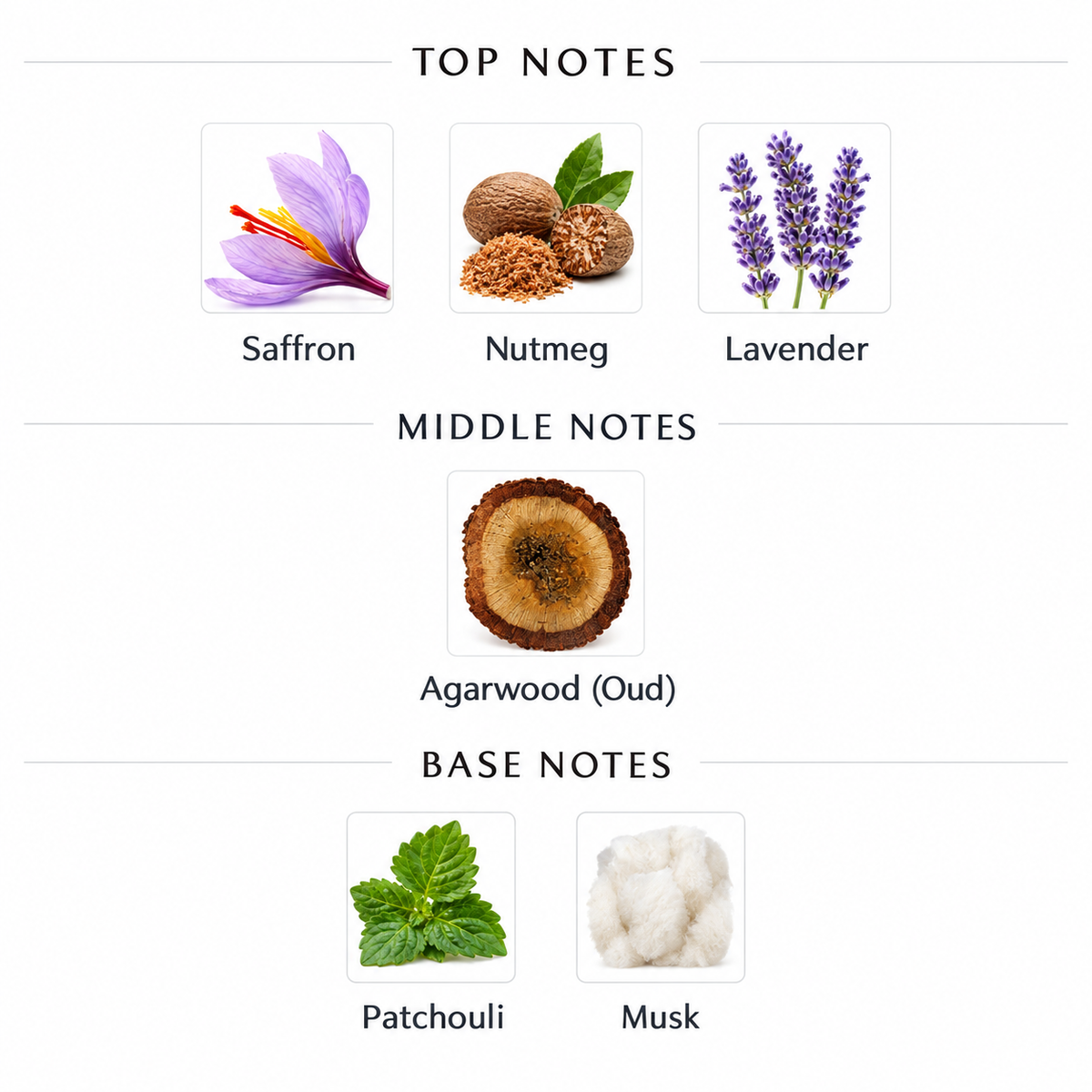 HAYAT – INSPIRED BY OUD FOR GREATNESS