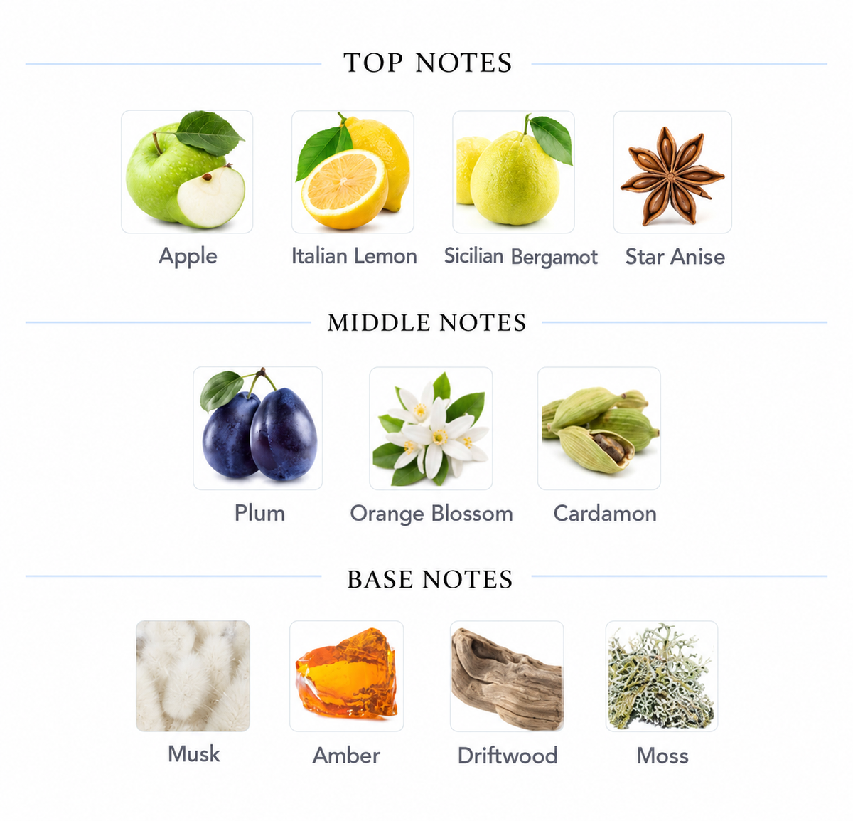ICEBERG – INSPIRED HAWAS ICE RASASI FOR MEN PREMIUM